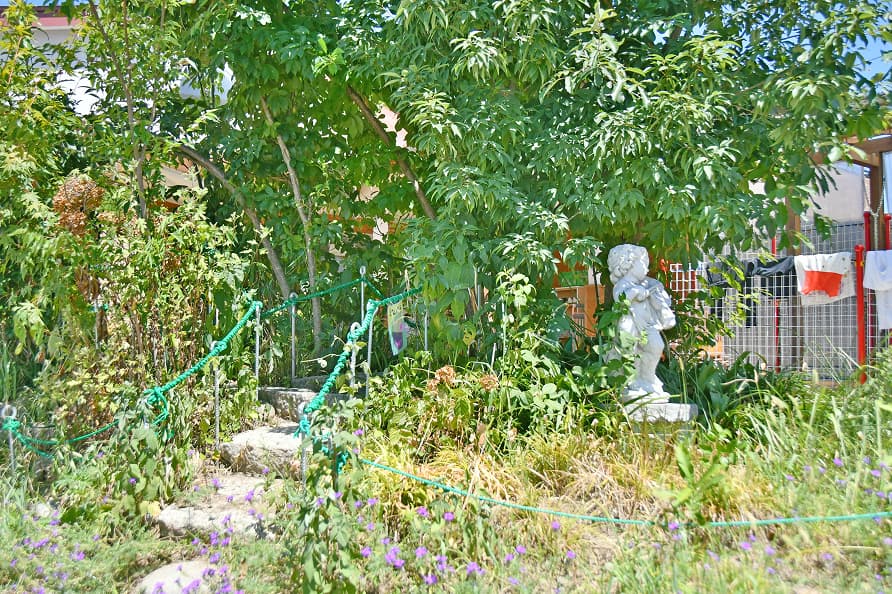どんぐり山